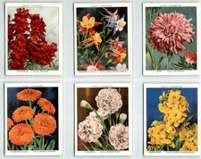 WILLS: Garden Flowers New Variety A Series 1938 Set 40 Large Cigarette Cards