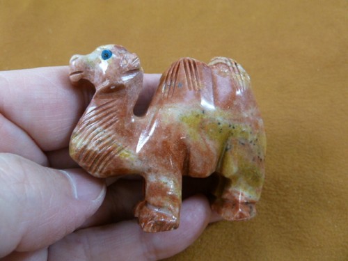 Red camel - red,