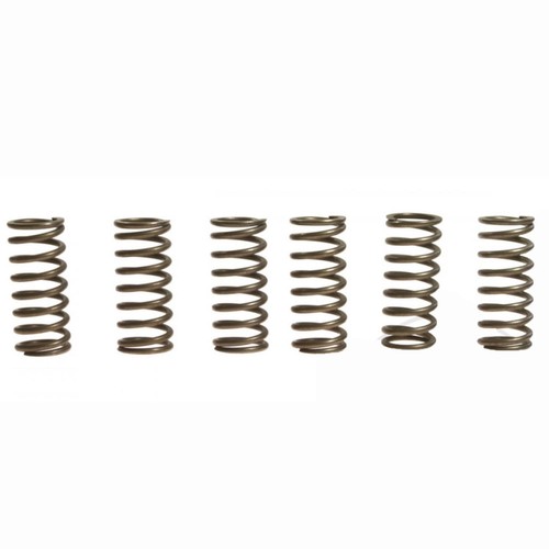 Ebc csk028 clutch spring - ebc,