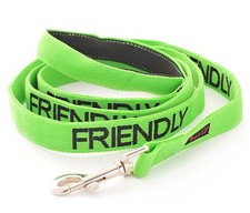Green Nylon Pet Dog Lead Leash