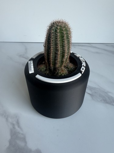 Tyre small cactus - tyre,
