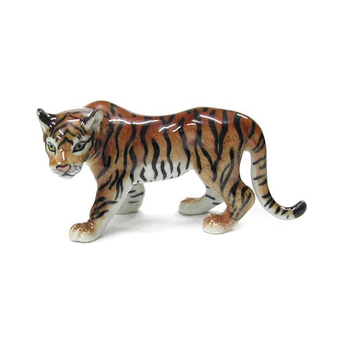 Northern rose tiger forest - tiger,