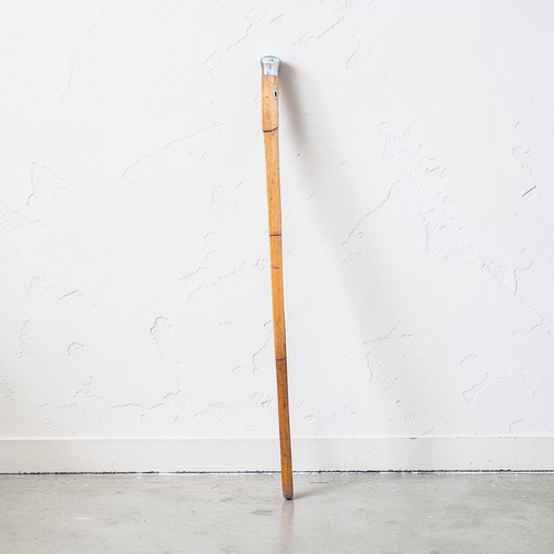 Bamboo silver top walking - silver, cane