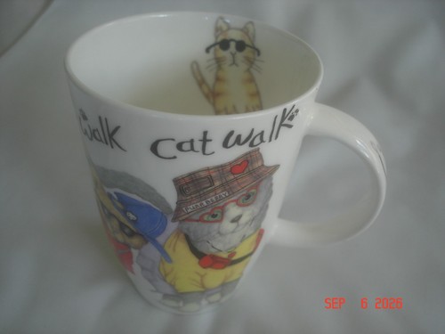 Mint 2003 roy - mint, cat