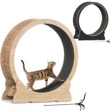 Mondeer 39.4" Cat Exercise