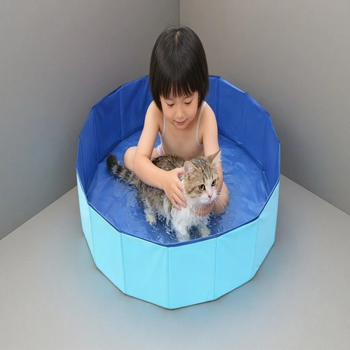 Foldable pet swimming pool - pet, dog
