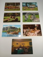 Longleat Safari Park Postcard Bundle x7 Vintage Wildlife Photo Cards Unposted