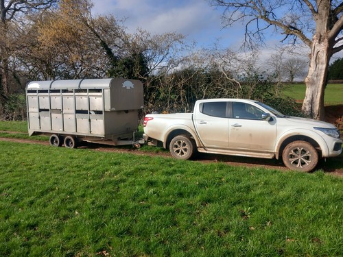 Graham edwards livestock - graham,