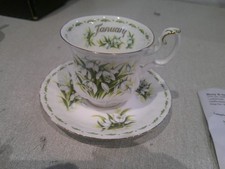 Royal Albert Flower Of The