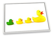 Rubber Ducks Bathroom Yellow