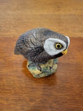 Vintage Aynsley Animal Kingdom Series Figurine 'Little Owl' 1975
