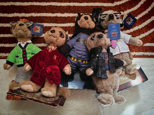 Compare the market meerkat - the,