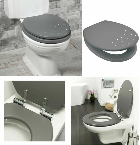 Toilet seat novelty - toilet,