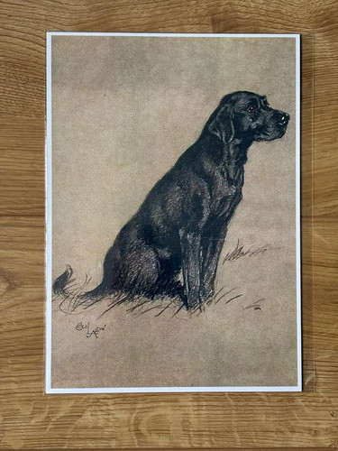 Cecil aldin labrador dog print - aldin,