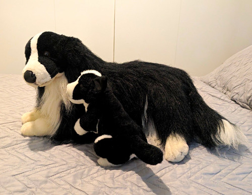 Border collie dog and puppy - border,