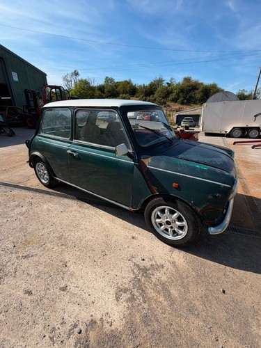 Lhd 1989 classic mini - lhd,