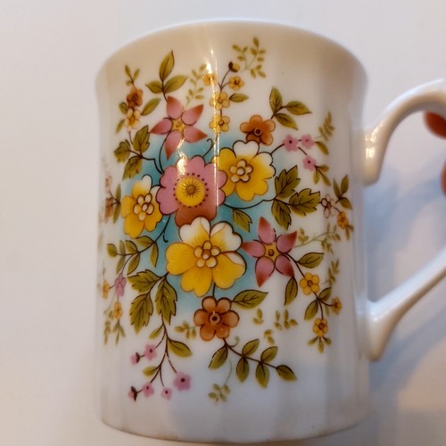 Elizabethan staffordshire bone - staffordshire,
