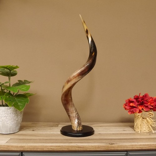 Piece kudu exterior horn - kudu,