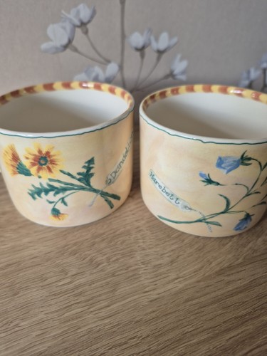 Teacup royal stafford - teacup,