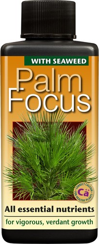 Palm focus 100 - focus, ml