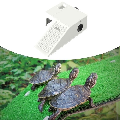 Turtle basking platform - basking,