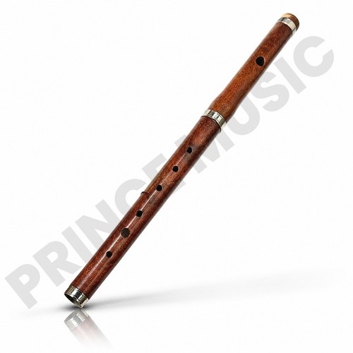 Flute marching band - flute,