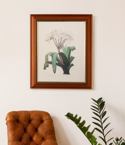 Large pierre joseph redoute - large,