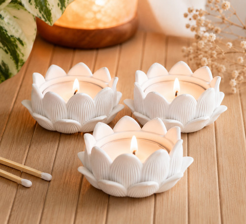 Set white lotus flower - of, 3