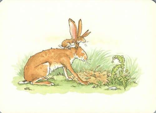 Bunny rabbit rides big - rabbit,