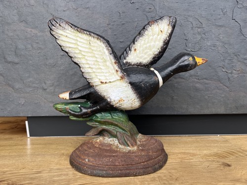 Flying mallard duck - mallard,
