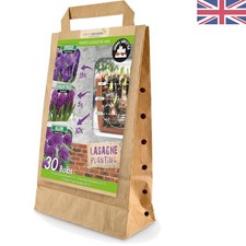 30  Eco-friendly Flower Bulbs