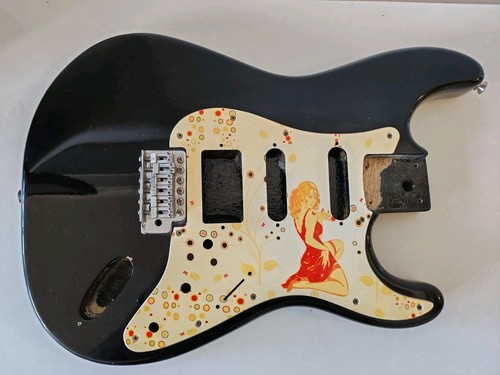 Stratocaster guitar body - guitar,