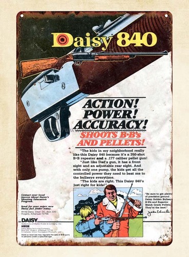 Small game hunting - hunting, airgun