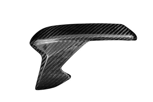 Carbon side panels - side,