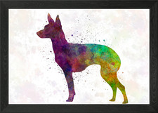 English Toy Terrier Framed