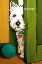 West Highland Terrier WESTIE