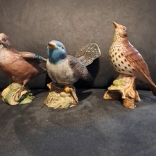Beswick Jay 2417 Song Thrush