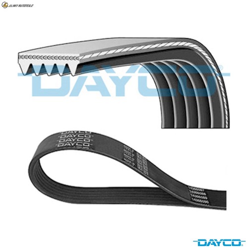 Ribbed belt 5pk1137 for - v-ribbed,