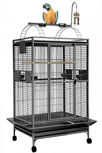 Xxlarge x23 x66 parrot - 32"x23"x66"h,