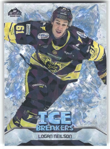 Logan neilson fife flyers - neilson,