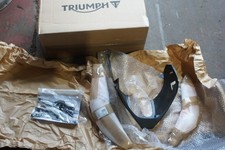 TRIUMPH 795 STREET TRIPLE R