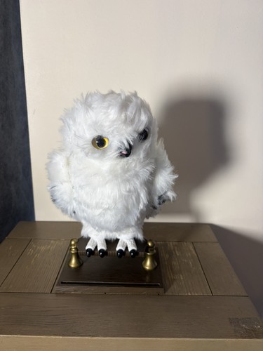 Harry potter enchanting - harry,