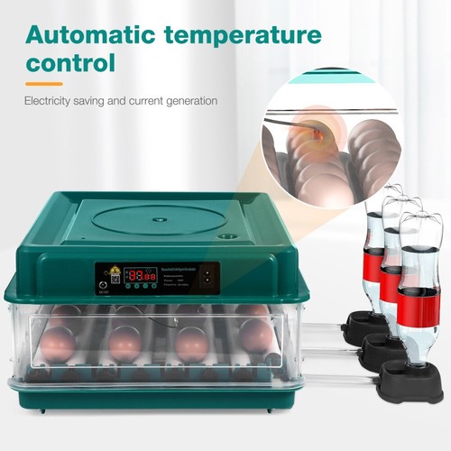 Egg incubators for hatching - 48,
