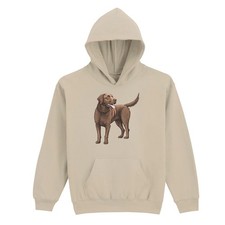 Chesapeake Bay Retriever Dog