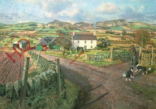 Postcard james mcintosh - postcard>>james,