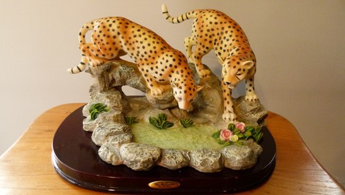 Juliana collection cheetahs - juliana, at