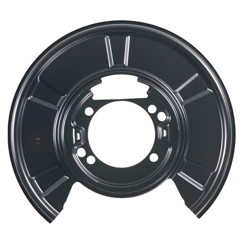 Rear brake backing plate - rear,