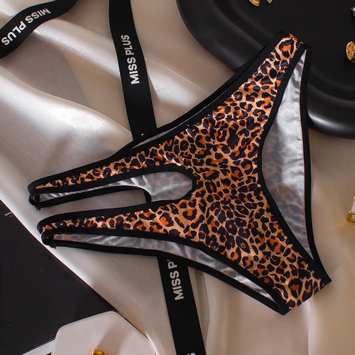 Sexy lingerie cutout briefs - sexy,
