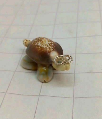 45mm seashell tortoise - tortoise, with