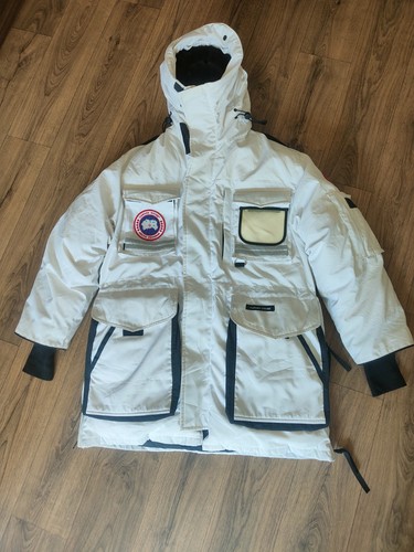Canada goose snow - snow, mantra